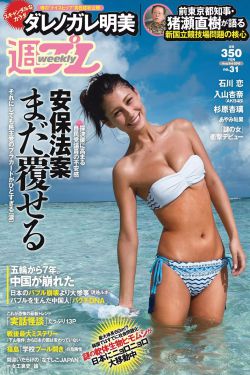 女婿回乡短剧免费观看全集视频